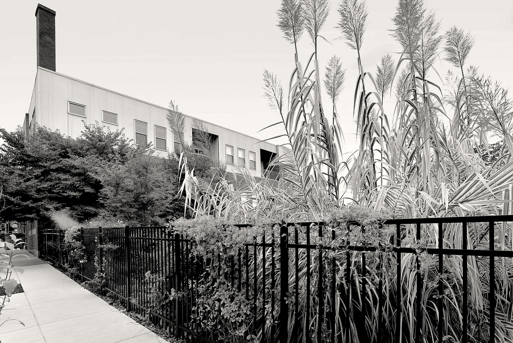 Roma Lofts yard